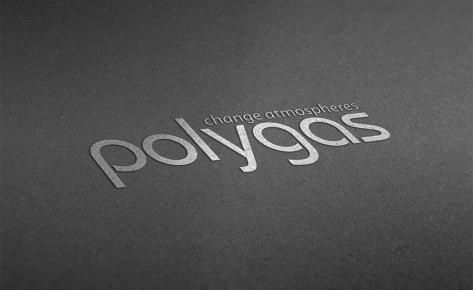 Realizzazione logo Polygas